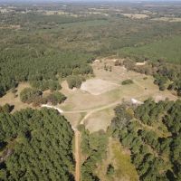 Morris County TX Hunting Recreational Ranch For SaleMorris County TX Hunting Recreational Ranch For Sale images 4