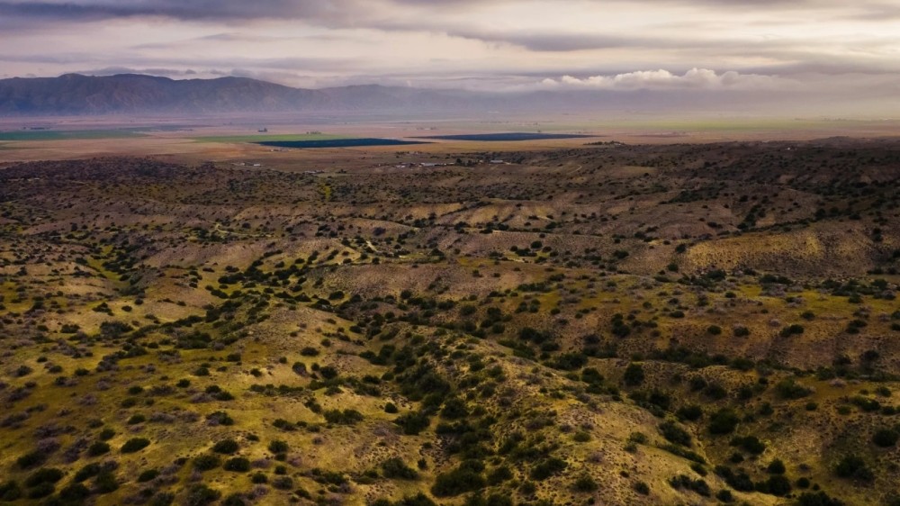 SZ Ranch featured image