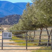 SZ Ranch images 3