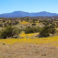 SZ Ranch images 4