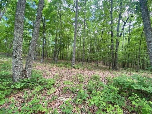 29.46 -acres unrestricted bordering Franklin State Forest featured image