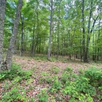 29.46 -acres unrestricted bordering Franklin State Forest