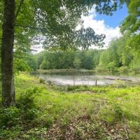 29.46 -acres unrestricted bordering Franklin State Forest images 4