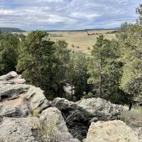 Wildflower Ranch