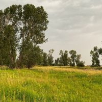 East Gallatin River Reserve