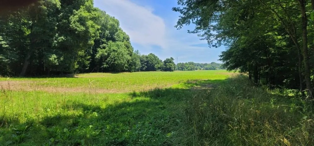 320 AC CATTLE AG FARM. HARDWOODS. DEER TURKEY DUCK 8 MINUTES FROM DOWNTOWN featured image