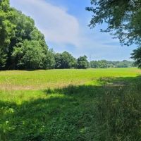 320 AC CATTLE AG FARM. HARDWOODS. DEER TURKEY DUCK 8 MINUTES FROM DOWNTOWN