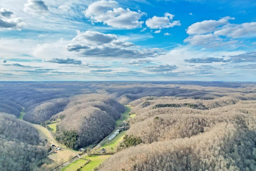 Gorgeous farm of 401.21 acres located in Clay County TN. 2 cabins and a beautiful creek running throughout the property. featured image