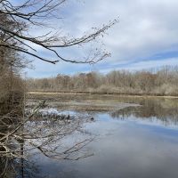 LA - Catahoula 218 acres -