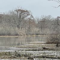 LA - Catahoula 218 acres - images 2