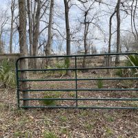 LA - Catahoula 218 acres - images 4