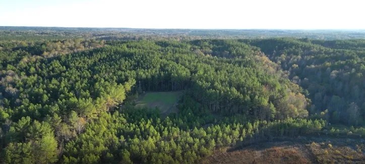 187 Acres in Holmes County in Lexington MS featured image