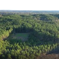 187 Acres in Holmes County in Lexington MS