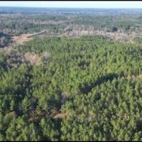 187 Acres in Holmes County in Lexington MS images 2