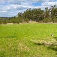 187 Acres in Holmes County in Lexington MS images 3