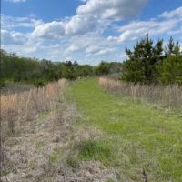 187 Acres in Holmes County in Lexington MS images 4