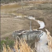 187 Acres in Holmes County in Lexington MS images 5