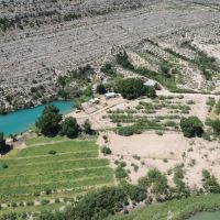 Banner Ranch in Dryden TX For Sale images 4