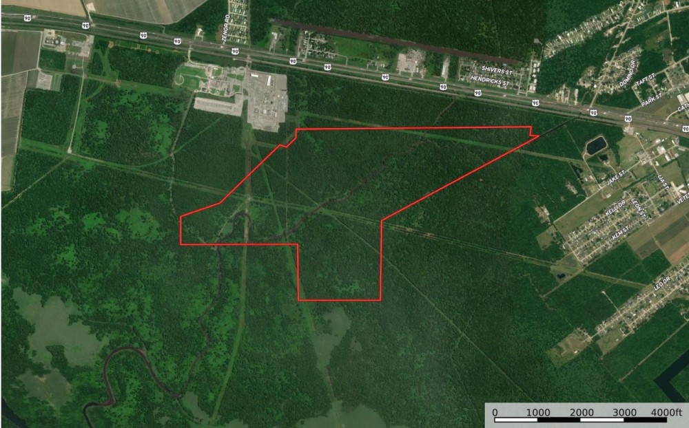 380 acres of hardwood hunting land in St. Mary Parish featured image
