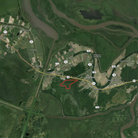 380 acres of hardwood hunting land in St. Mary Parish images 2