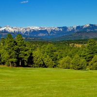 Forest Park Ranch