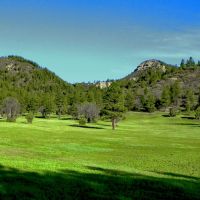 Forest Park Ranch images 3
