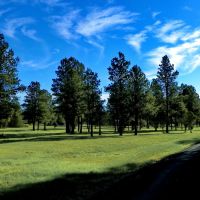 Forest Park Ranch images 4