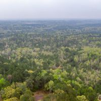 55 Acres Land for Sale Lincoln Parish LA images 3