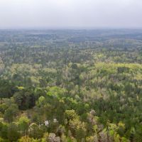 55 Acres Land for Sale Lincoln Parish LA images 4