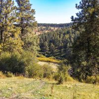 West Fork images 3