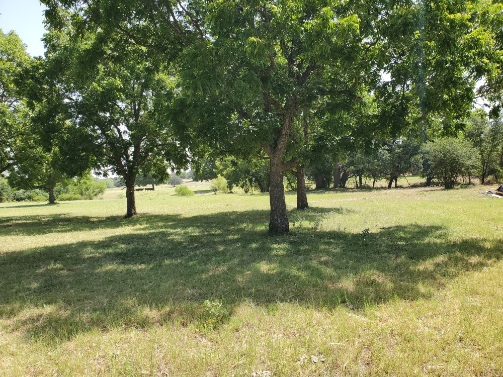 79.78 Ac Cattle Ranch Weatherford Texas 76087 featured image