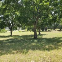 79.78 Ac Cattle Ranch Weatherford Texas 76087