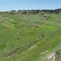 Weed Creek Ranch