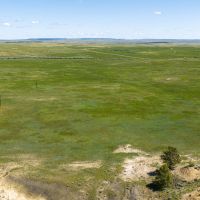 Weed Creek Ranch images 2