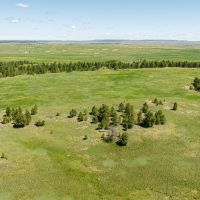 Weed Creek Ranch images 3