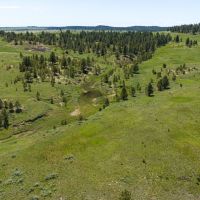 Weed Creek Ranch images 4