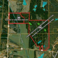 Chicksaw -Webster County 255 Timber Hunting images 2