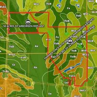Chicksaw -Webster County 255 Timber Hunting images 4