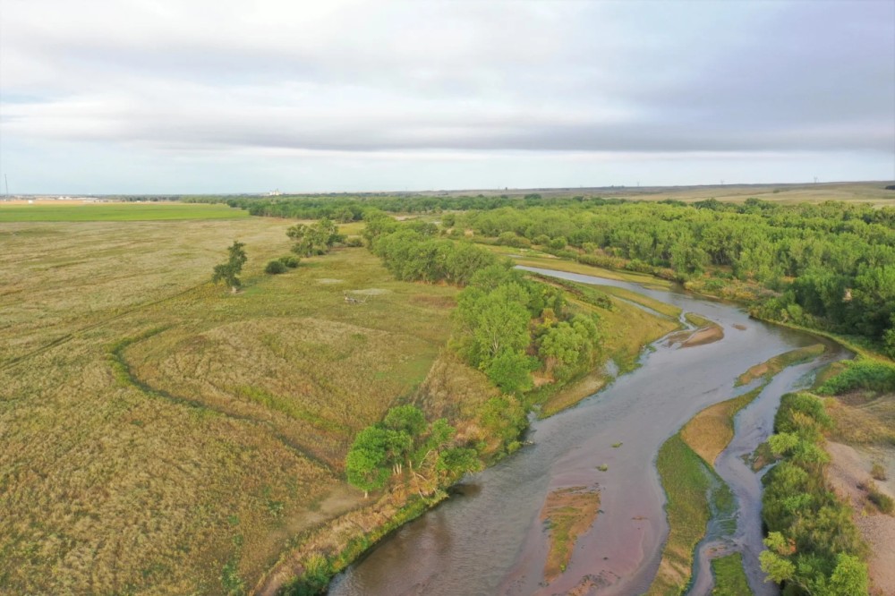 South Platte River Hunting Pasture featured image
