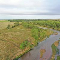 South Platte River Hunting Pasture