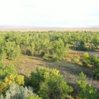 South Platte River Hunting Pasture images 3