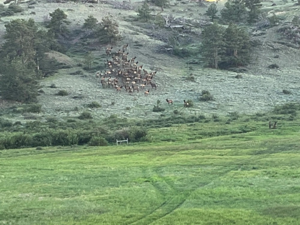 West Fork Ranch featured image