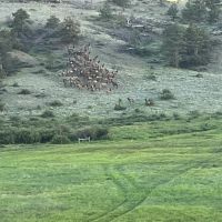 West Fork Ranch