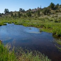 West Fork Ranch images 3