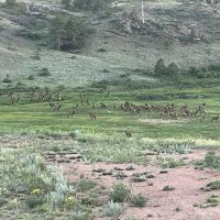 West Fork Ranch images 4