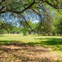 74 Acre Recreational Property Palo Pinto Texas