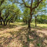 74 Acre Recreational Property Palo Pinto Texas images 3