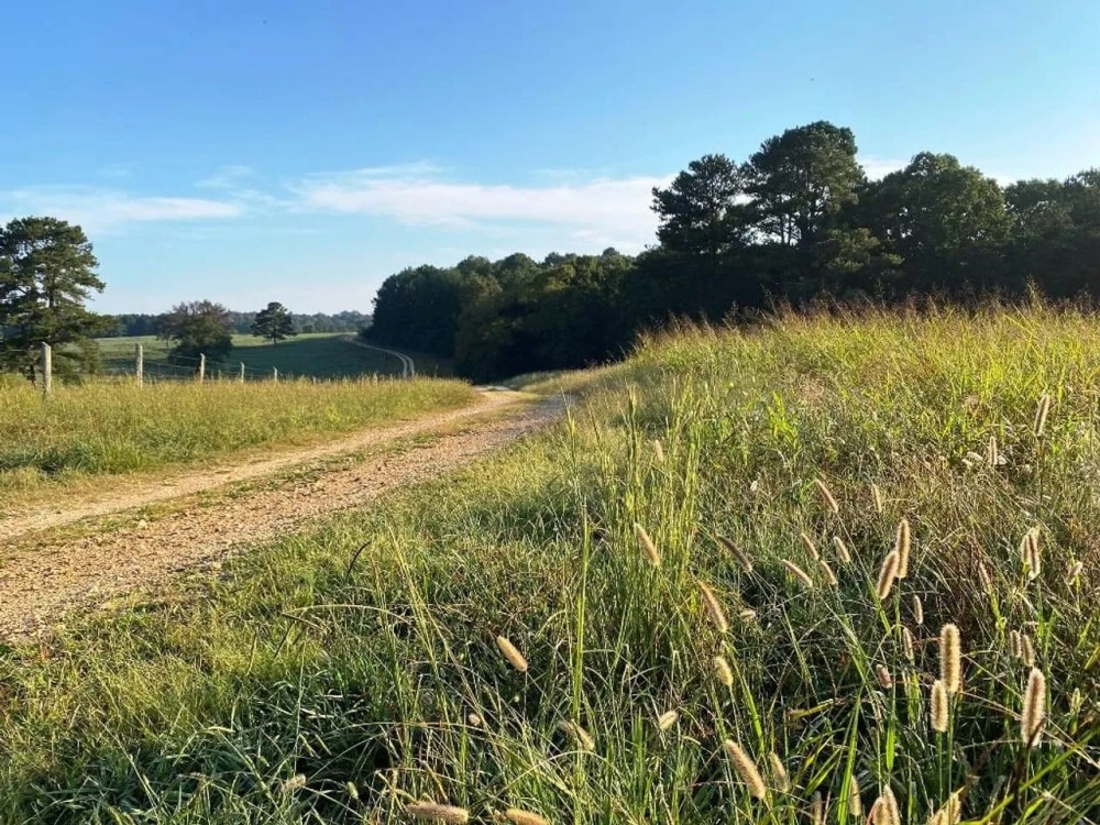 Cook Creek Road Farm featured image