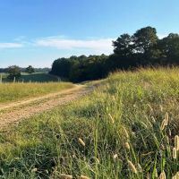 Cook Creek Road Farm