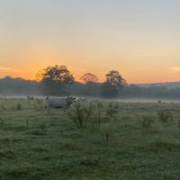 Cook Creek Road Farm images 2